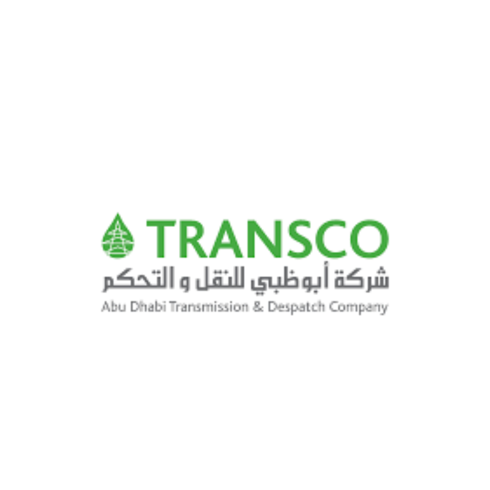 TRANSMISSION AND DESPATCH CO. (TRANSCO)
